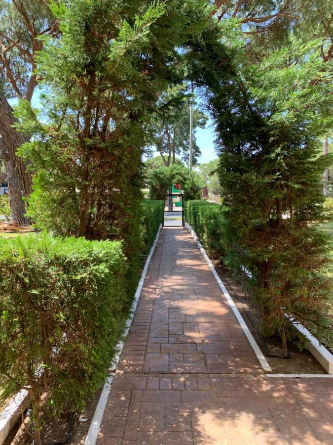 Apartamento A Pie De Playa El Portil Eksteriør billede